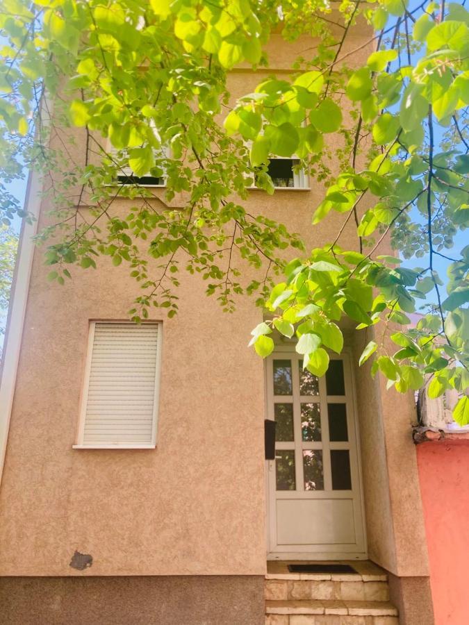 Appartement Podgorica-downtown *